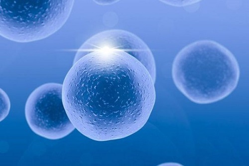 2021年36歲和37歲做試管嬰兒成功率有什么區別？