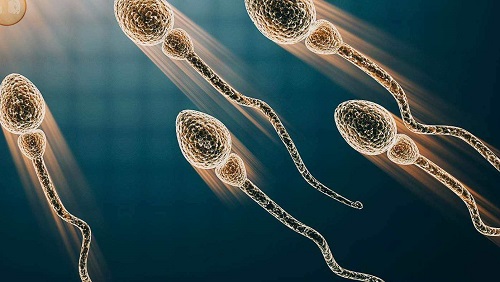 2021第三代試管篩查多少病？