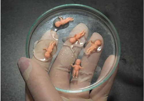 未婚可以做試管嬰兒嗎?