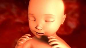 你了解試管嬰兒的流程嗎