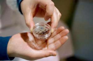 做泰國試管嬰兒的好處在哪里