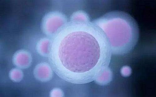 試管嬰兒流程詳細解讀