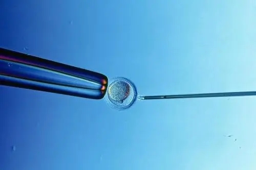 美國試管嬰兒醫院特點是什么